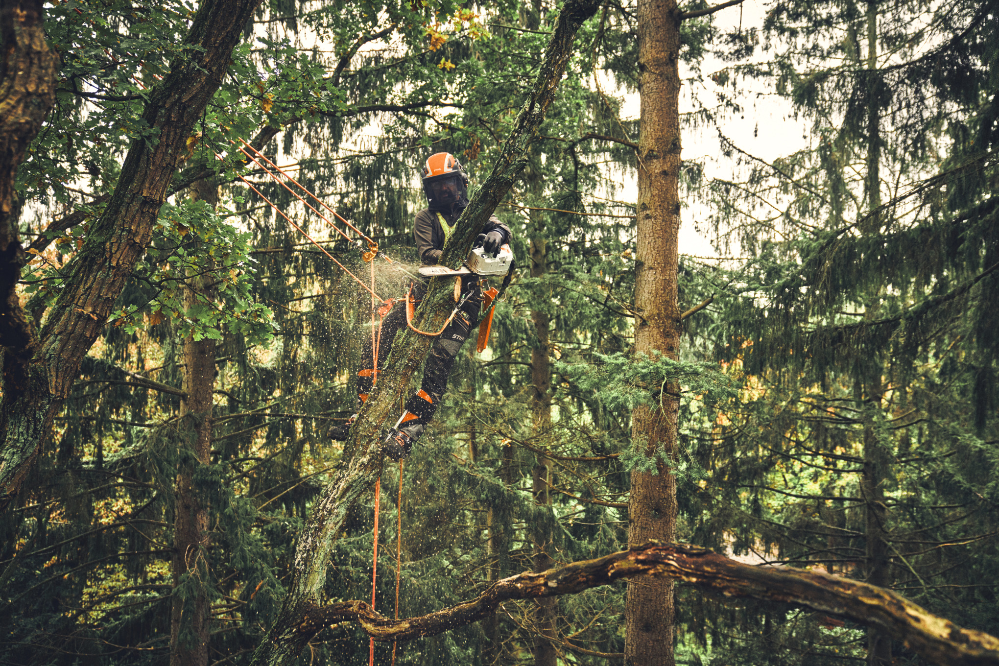 MSA 220 TC-O, sem bateria e sem carregador