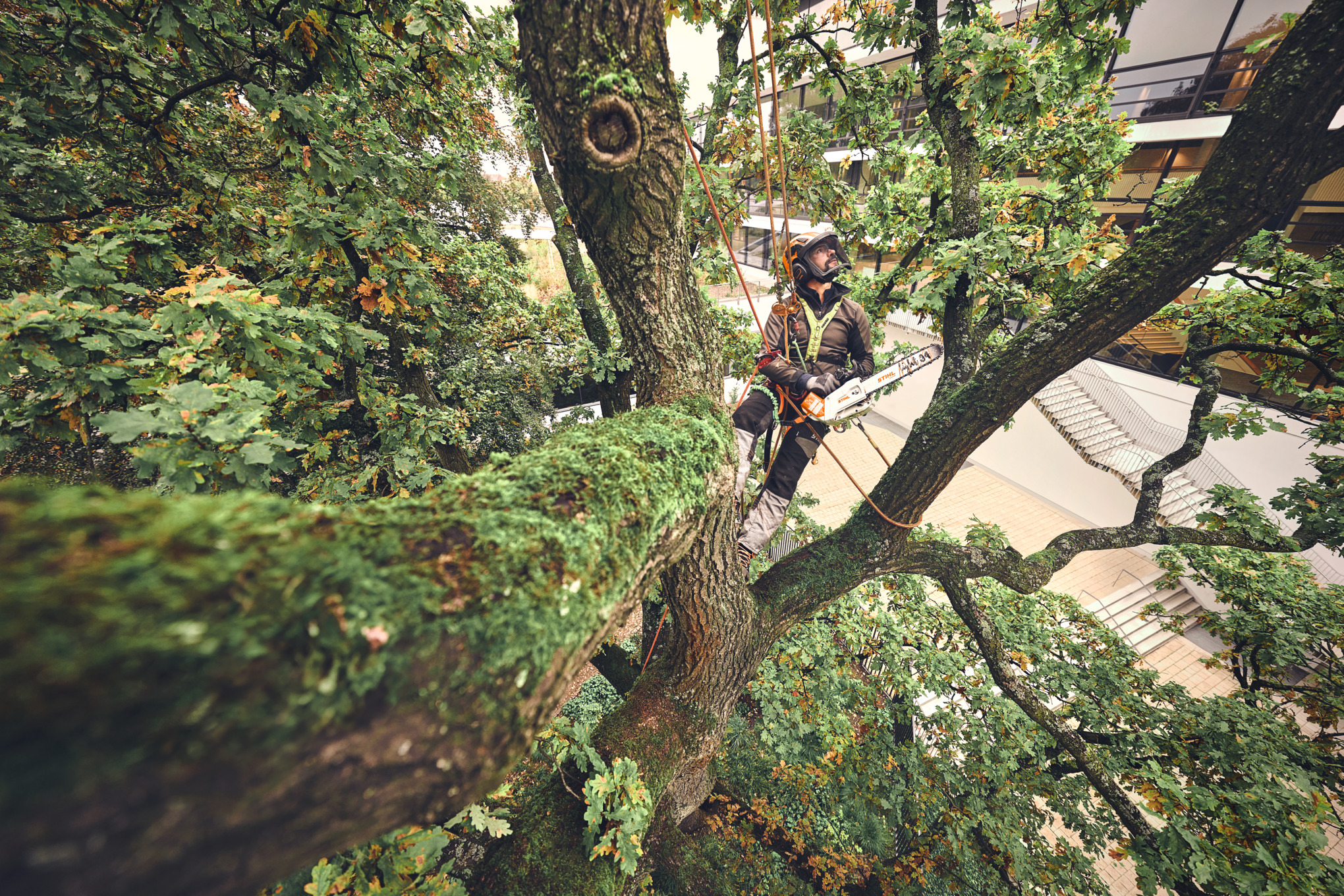 MSA 220 TC-O, sem bateria e sem carregador
