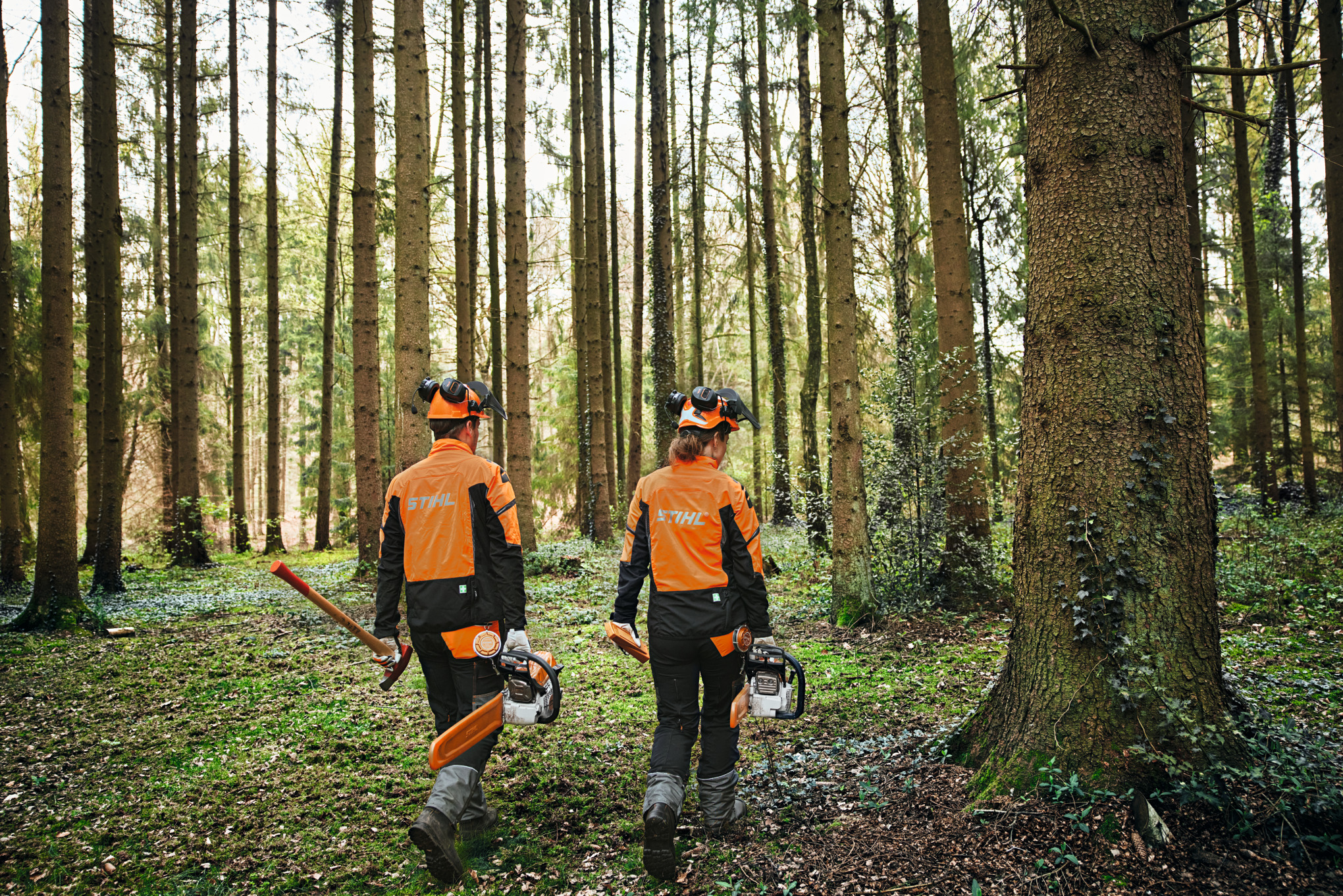 Duas pessoas com equipamento de proteção na floresta, com motosserras e machado.