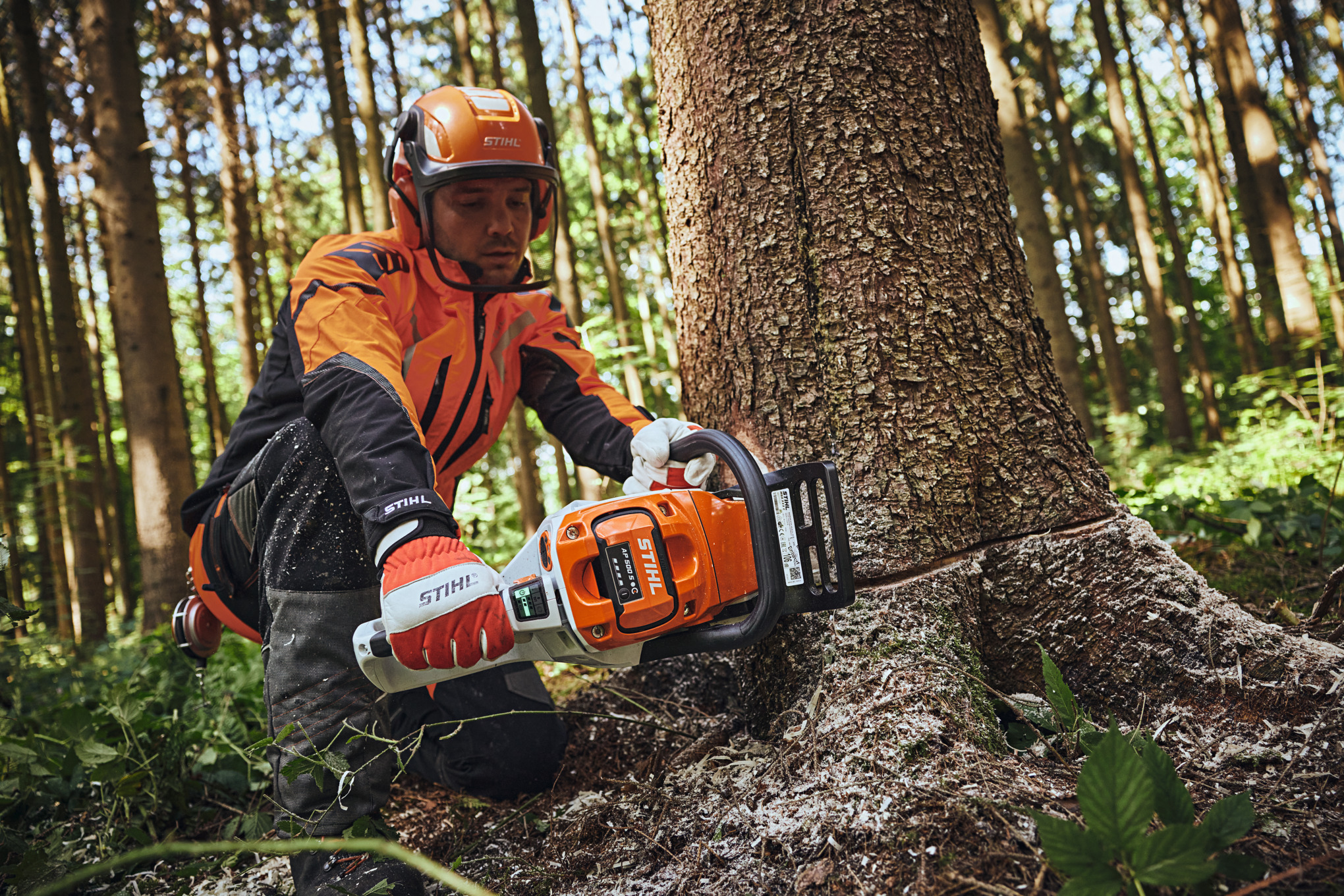 Um homem com equipamento de proteção STIHL a serrar um tronco de árvore