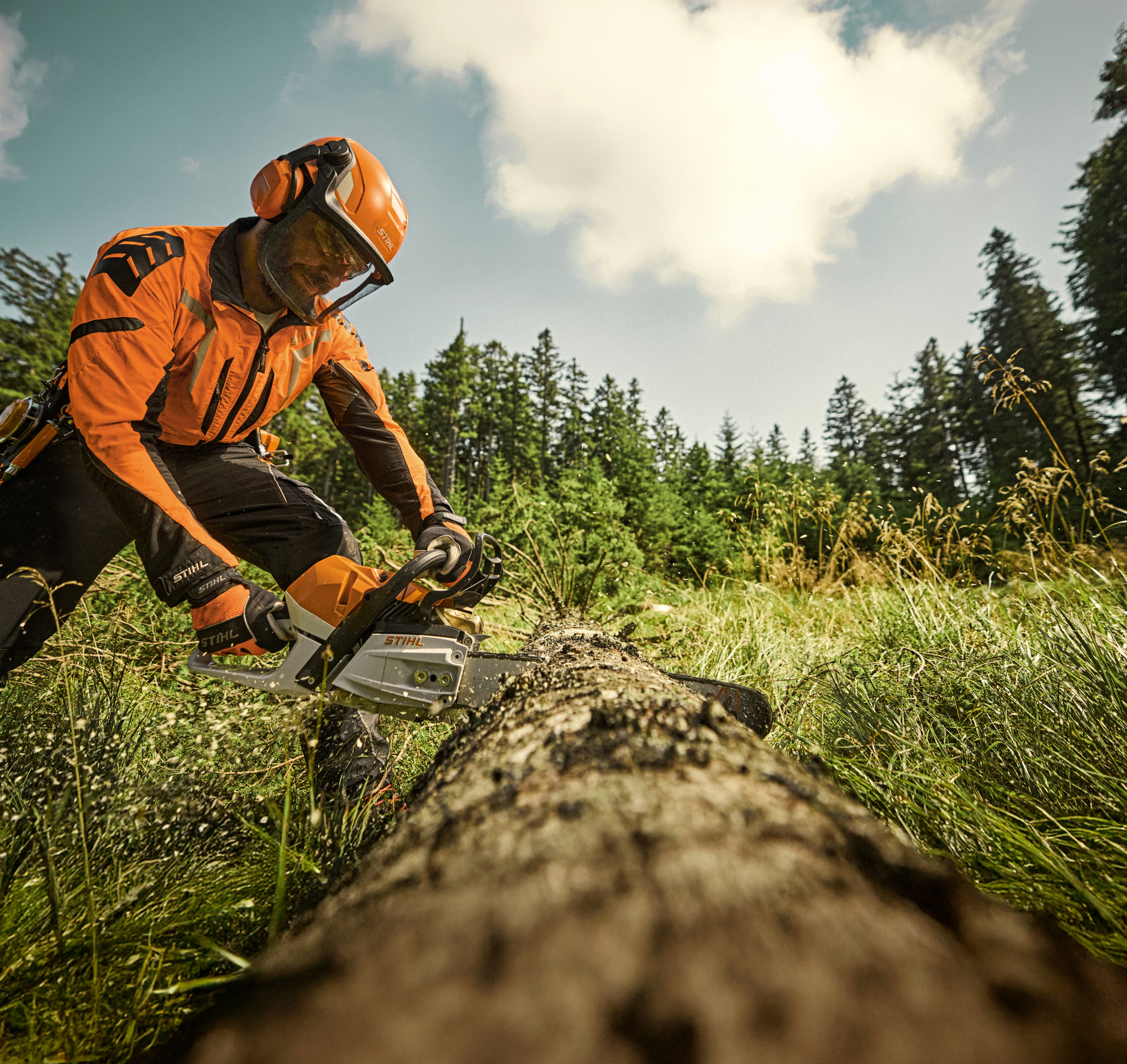 Escalar uma árvore com uma máquina de corte a bateria GTA 40 da STIHL