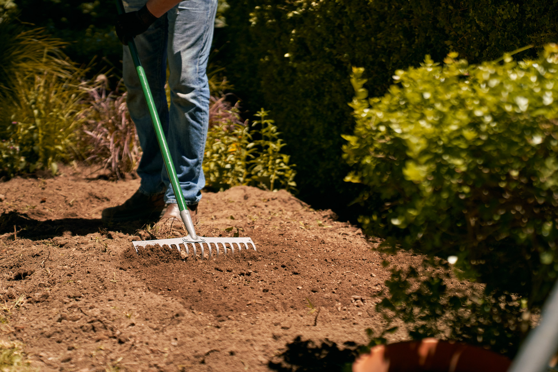Pessoa a usar um ancinho para nivelar a terra num canteiro de jardim - Preparar o canteiro de jardim para o inverno