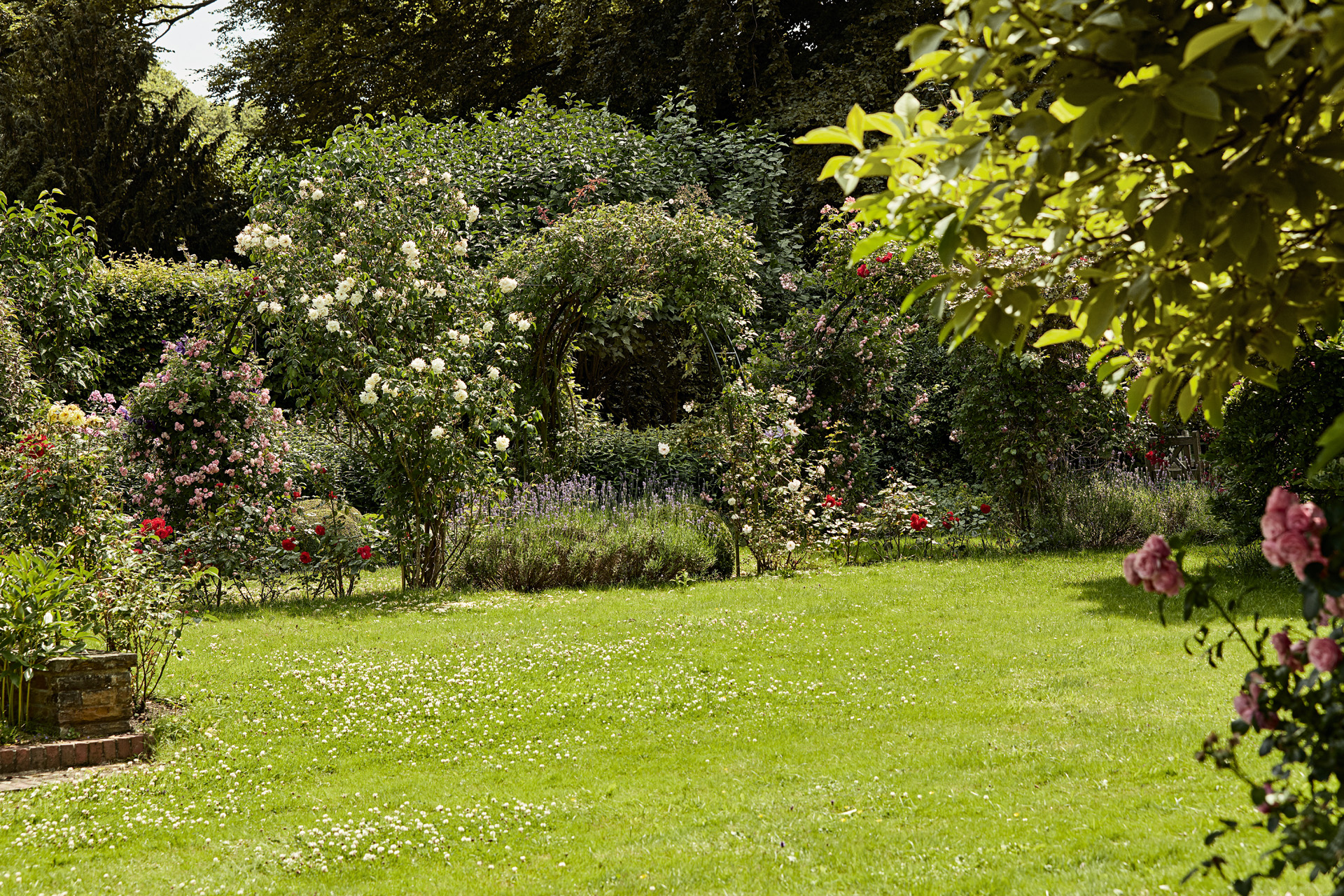 Um grande espaço verde com rosas, arbustos e um relvado uniformemente verde