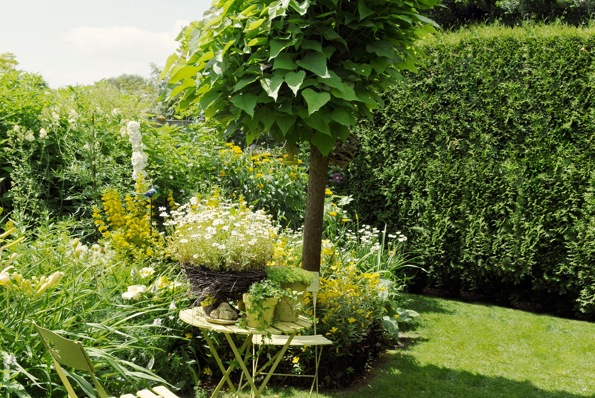 Jardim pequeno com área relvada, mobiliário de jardim e floreiras à frente e, atrás, catalpa-do-sul e arbustos afilados.