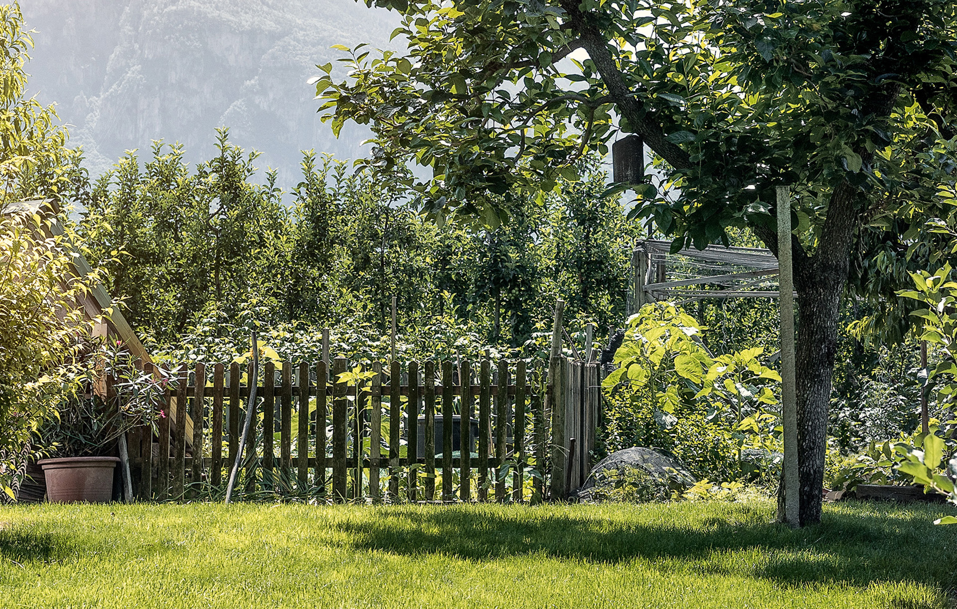 Jardim pequeno com área relvada à frente, plantas lenhosas solitárias à esquerda e à direita, ao centro, uma vedação de jardim; em segundo plano, árvores e montanhas