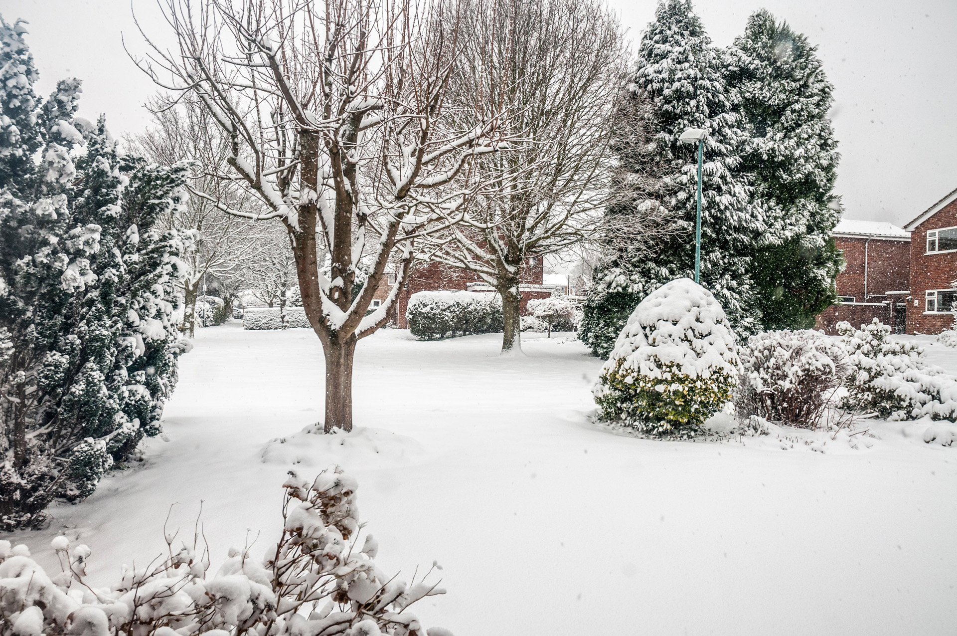 Um cenário de jardim com árvores e arbustos todos cobertos de neve - Cuidados do relvado no inverno