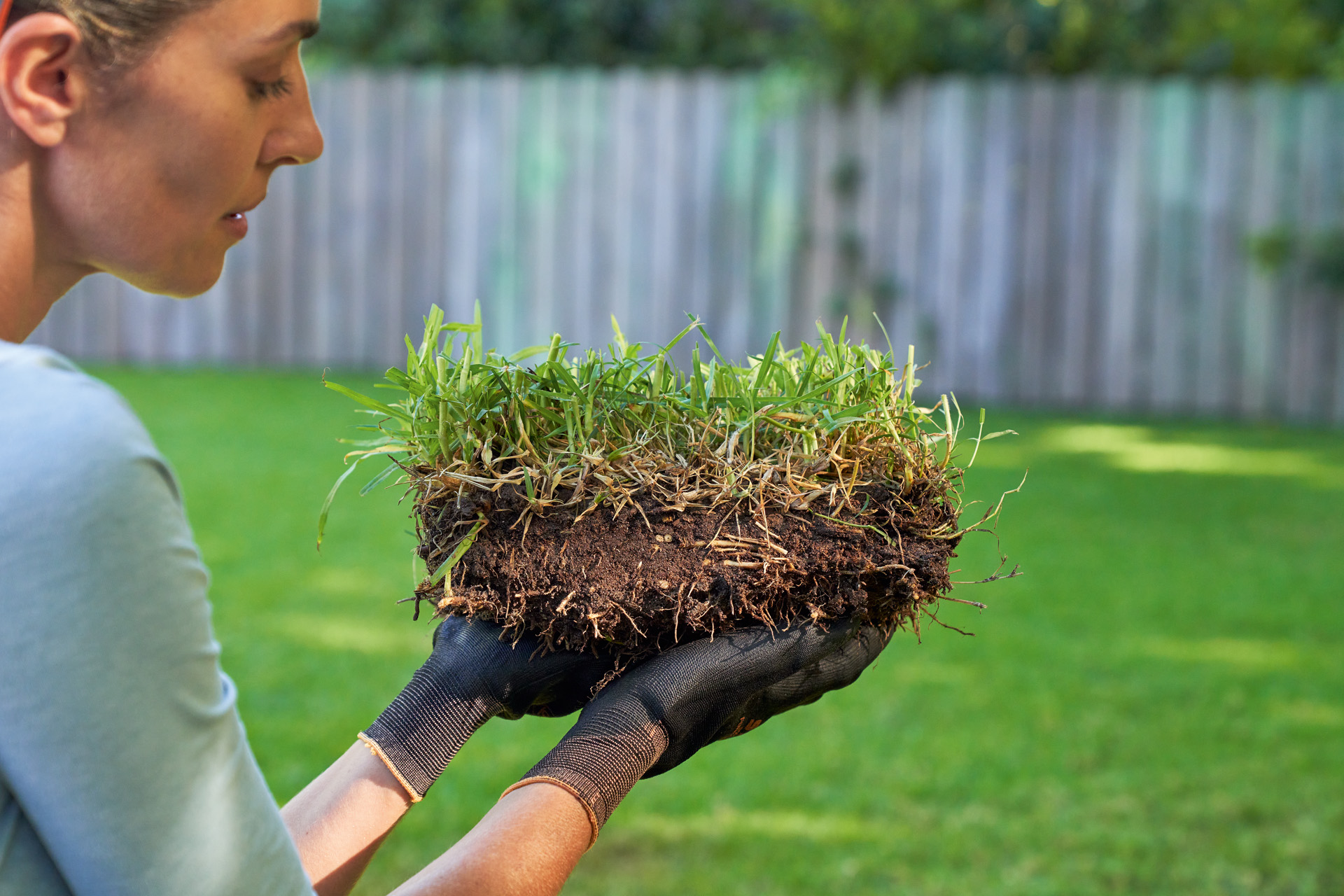 Uma mulher com um pedaço de relvado na mão antes de melhorar o solo, em segundo plano, relvado verde e vedação do jardim 