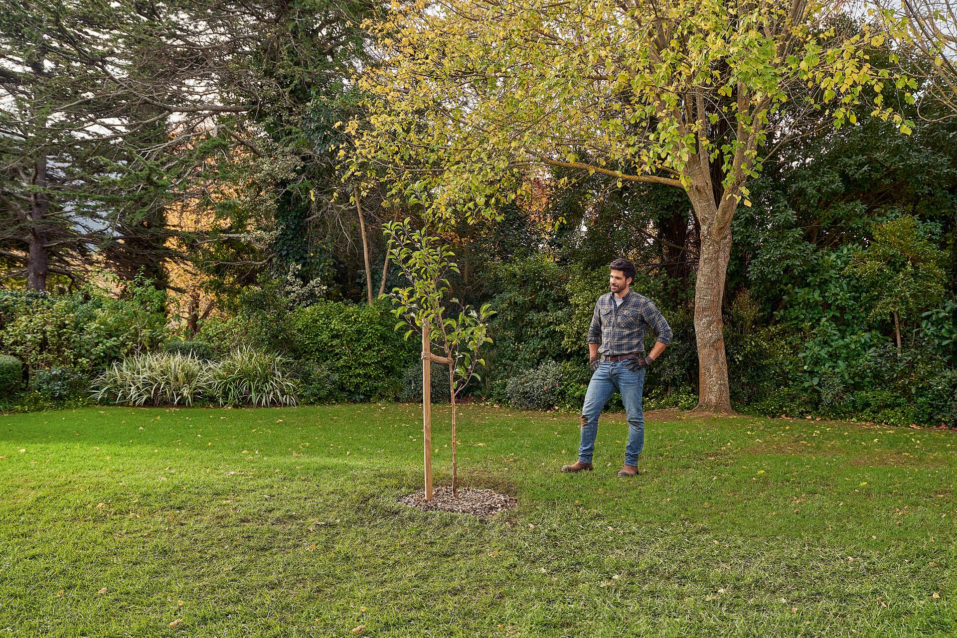 Um homem de pé no jardim junto a uma árvore acabada de plantar