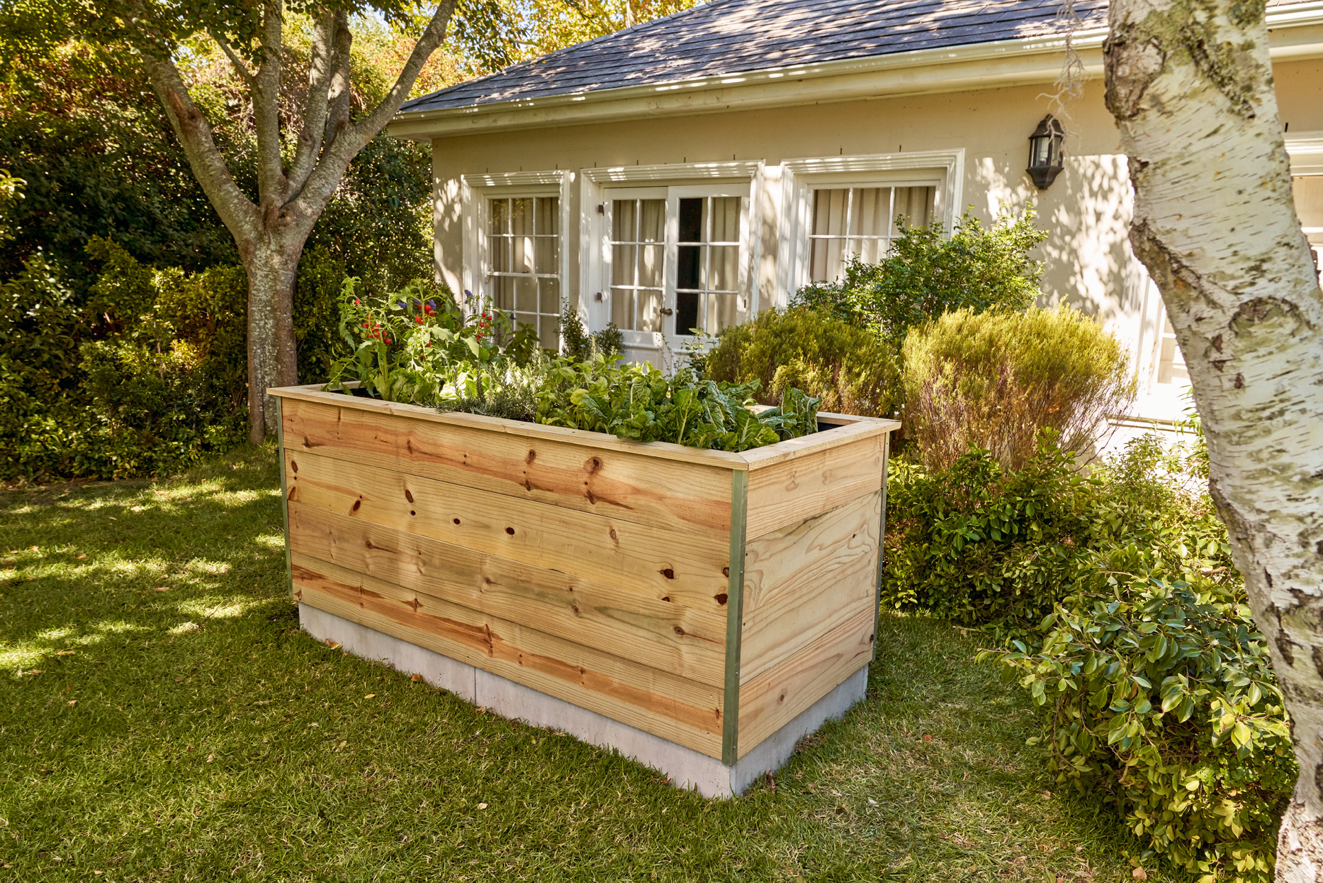 Exemplo de como plantar num canteiro elevado feito de tábuas de madeira, num jardim à frente de uma casa
