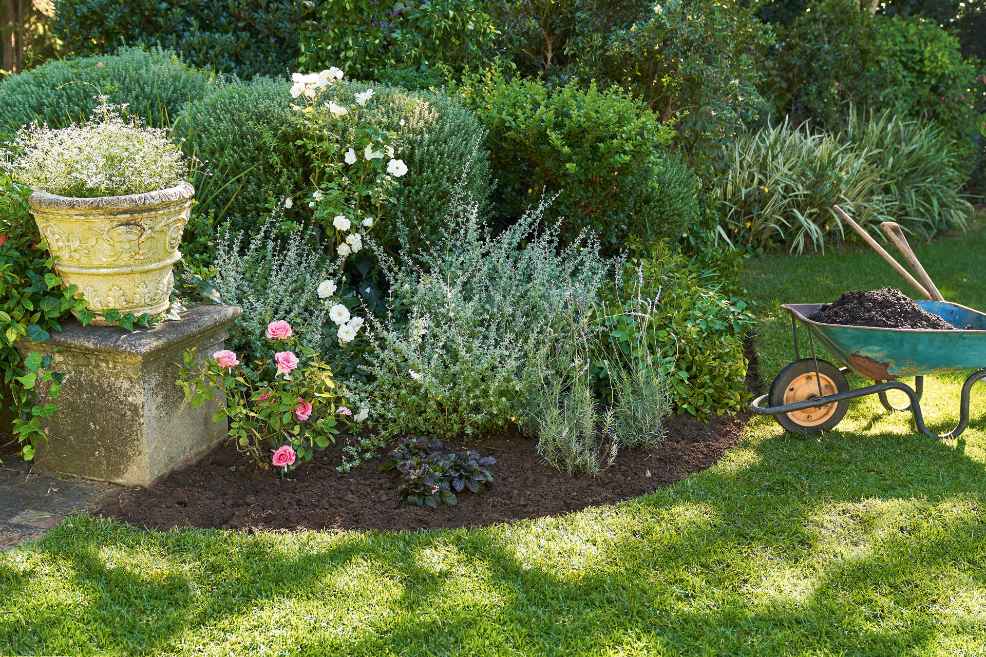 Canteiro de jardim com plantas que precisam de pouca água, um carrinho de mão com terra e utensílios de jardinagem