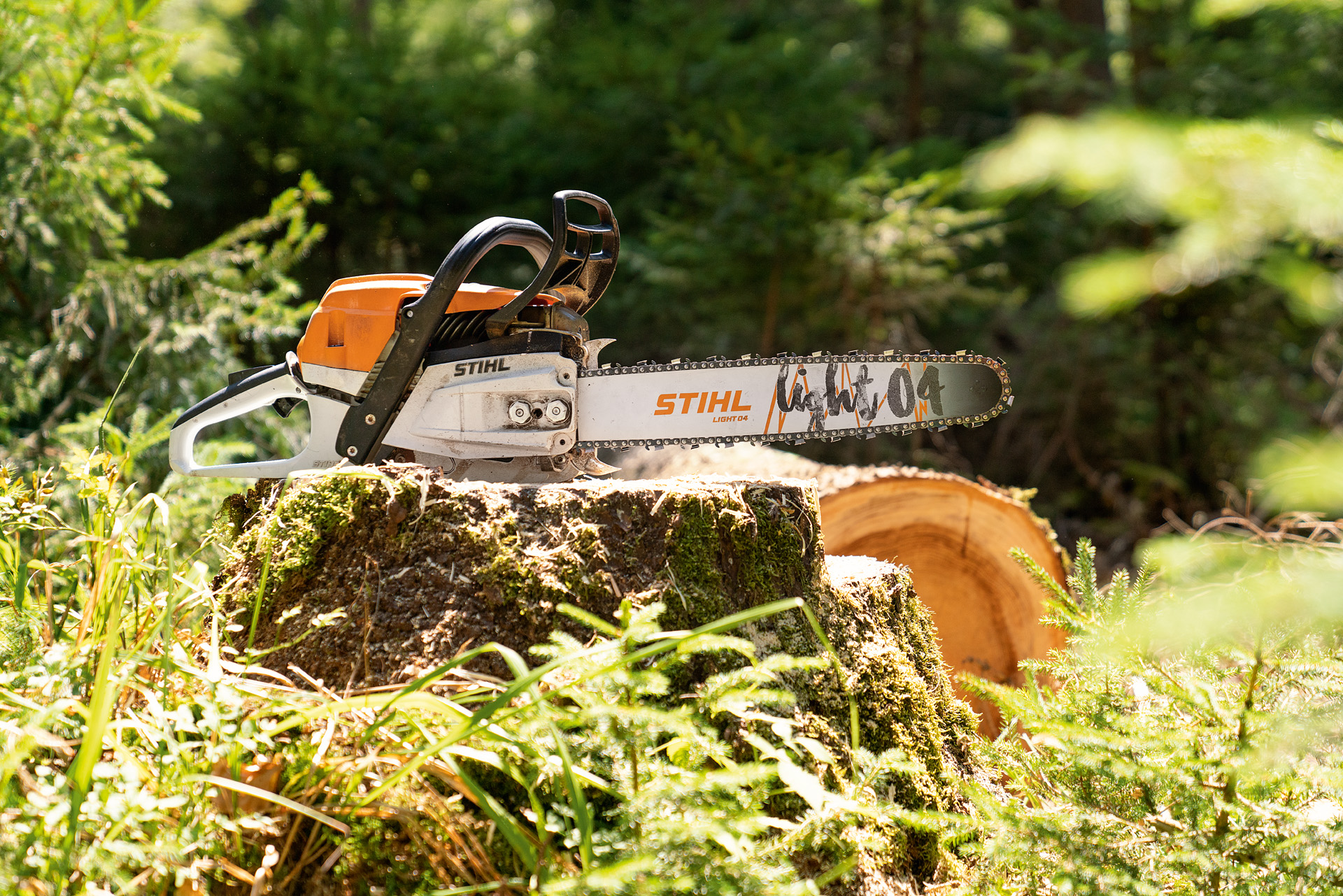 Uma motosserra a gasolina STIHL MS 261 C-M num tronco de árvore rodeado de vegetação