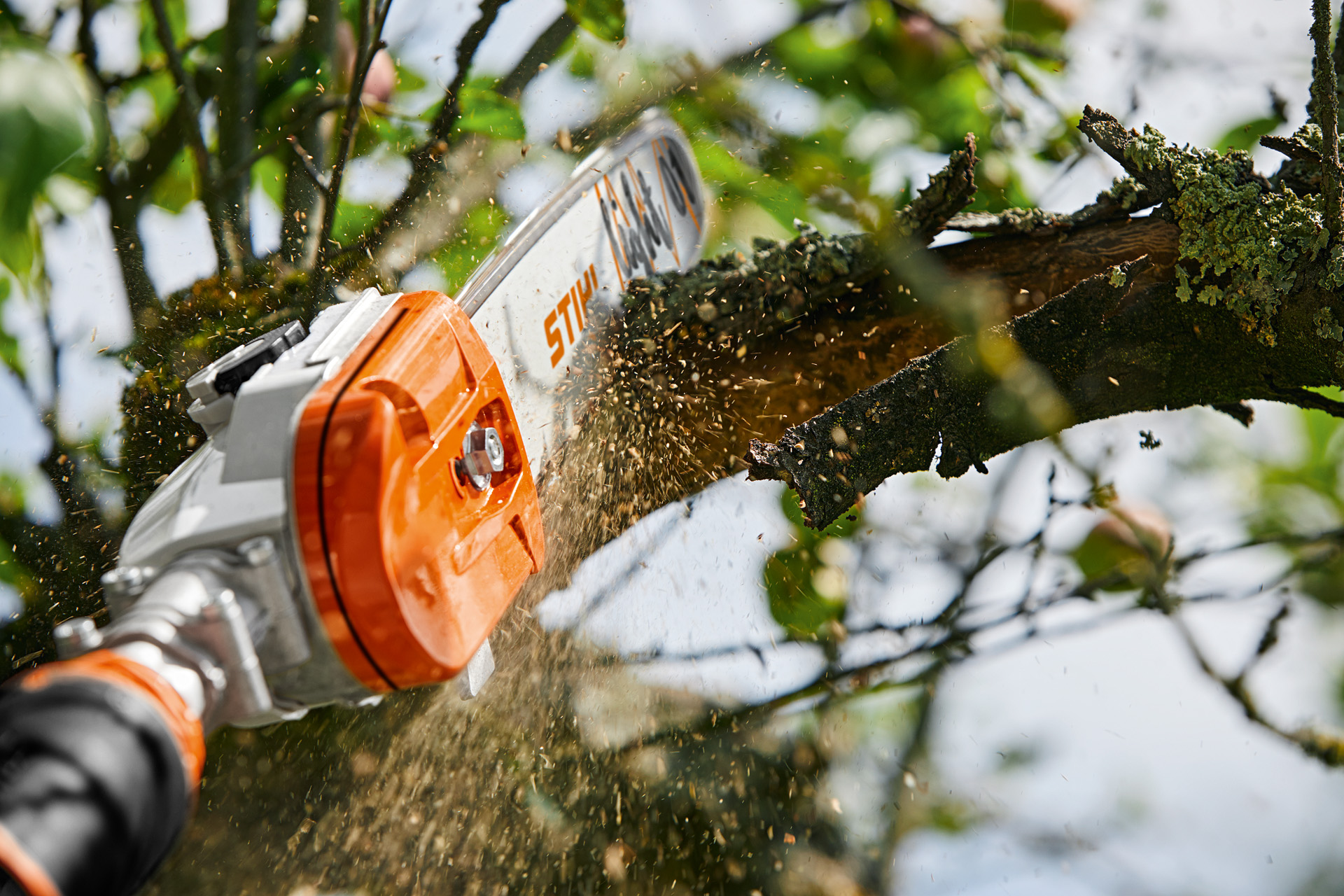 Um ramo da árvore de fruto é cortado com uma minipodadora de corrente a bateria STIHL GTA 26