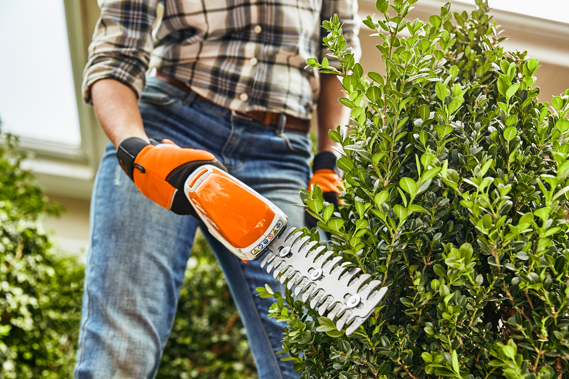 Um homem apara um arbusto com uma minipodadora a bateria STIHL HSA 26 que usa o sistema STIHL AS