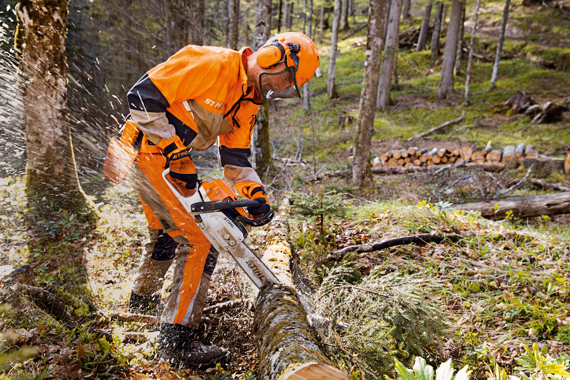 Categorias de proteção de motosserras: um trabalhador florestal trabalha protegido com as calças Dynamic Vent da STIHL
