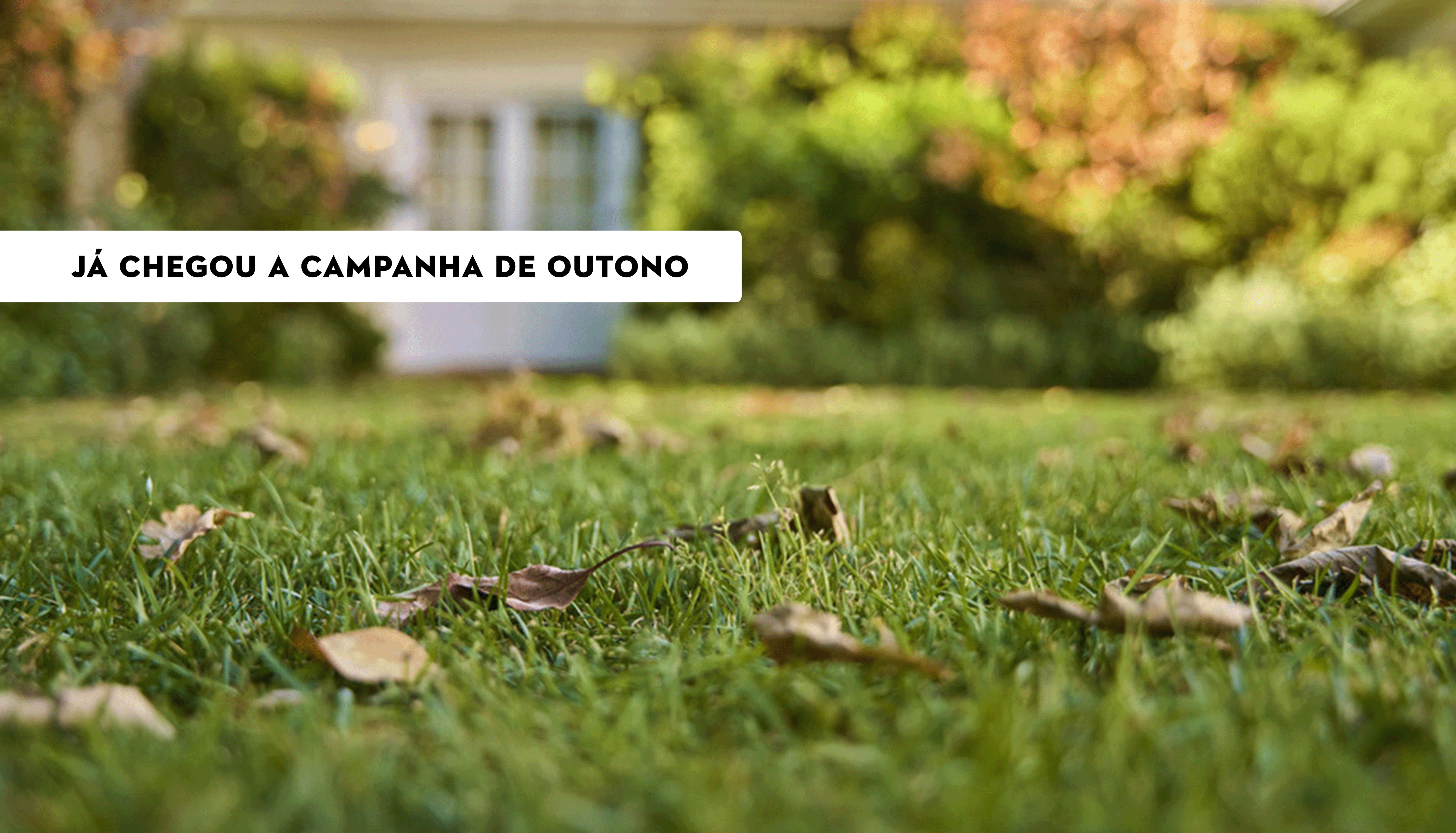 Jardim com folhas de outono no chão com uma vivenda em background