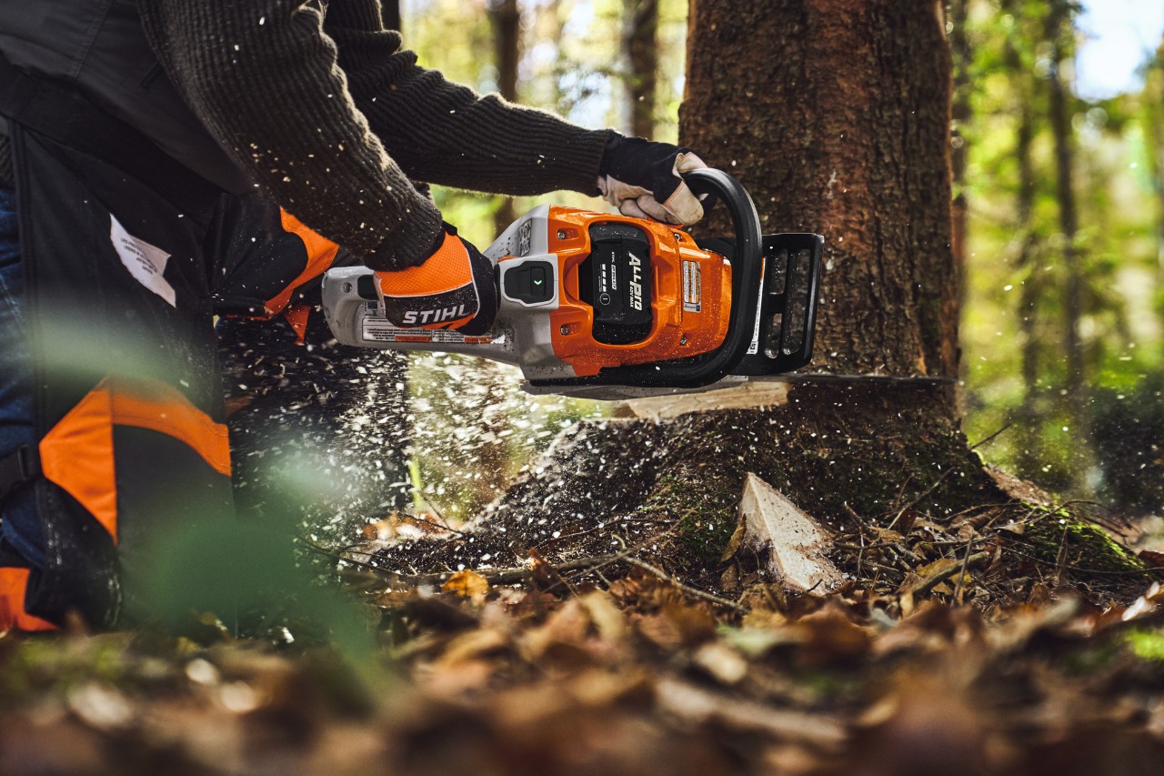 Abate de árvores com a motosserra STIHL ALLPRO MSA 260