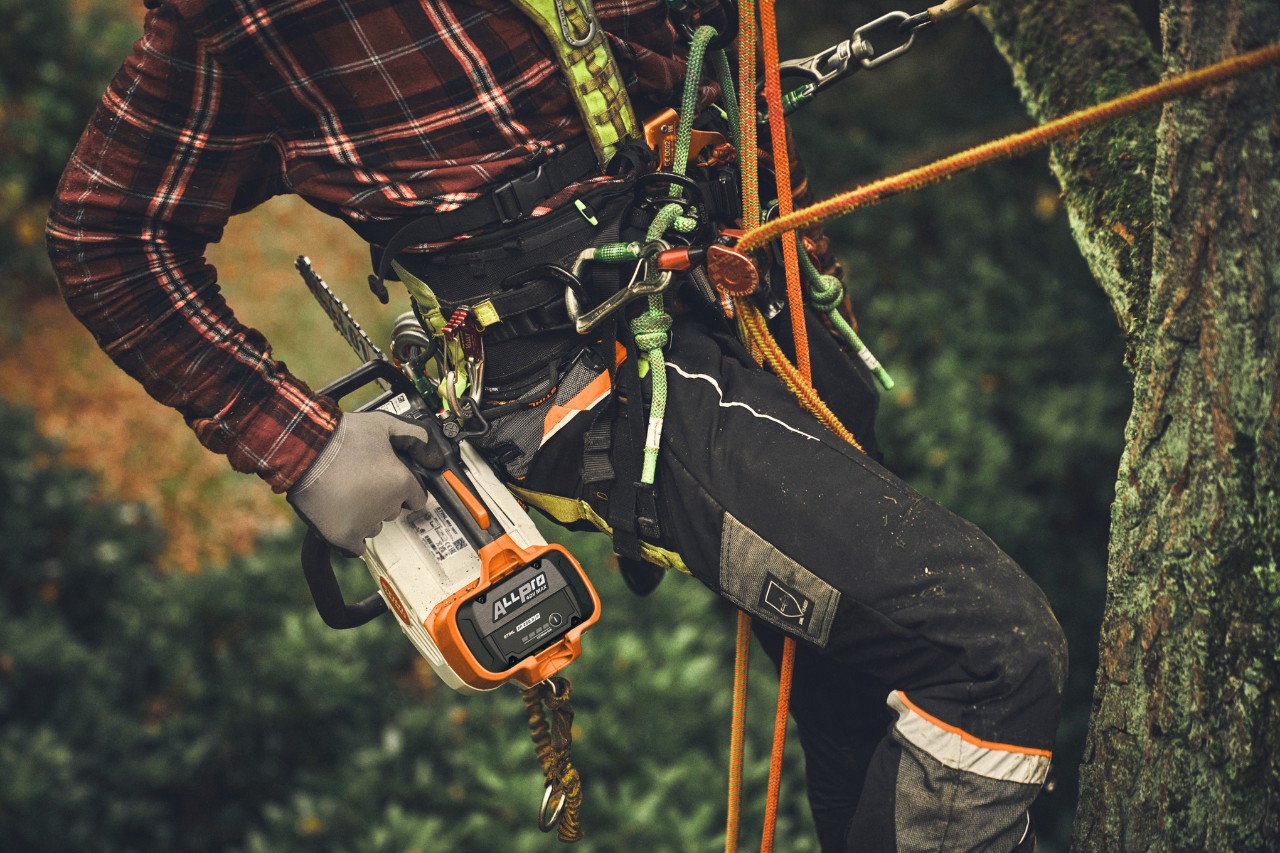 Grande plano de uma pessoa a subir a uma árvore com a motosserra sem fios STIHL MSA 190 T.