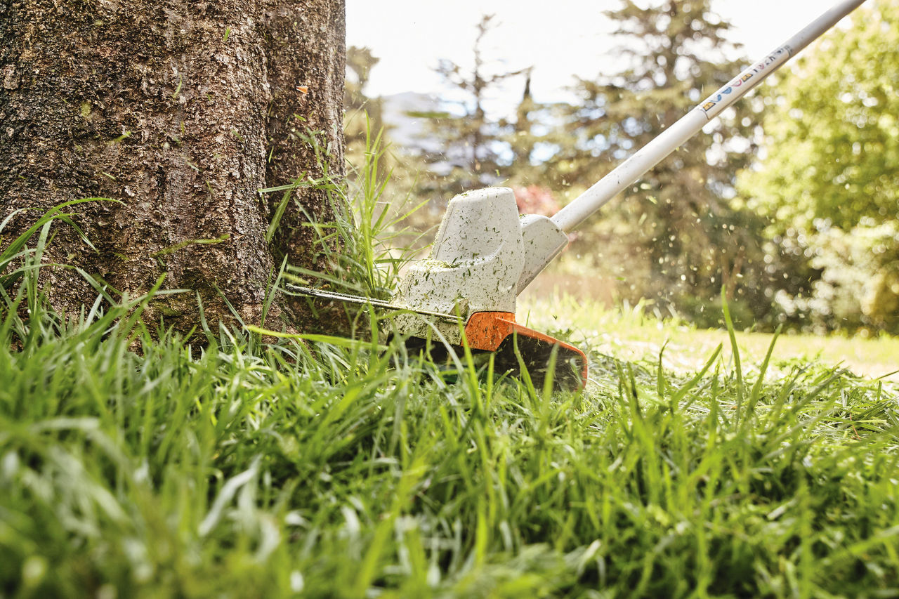 Cortar as bordas do relvado à volta de uma árvore com a foice a motor com bateria STIHL FS 57