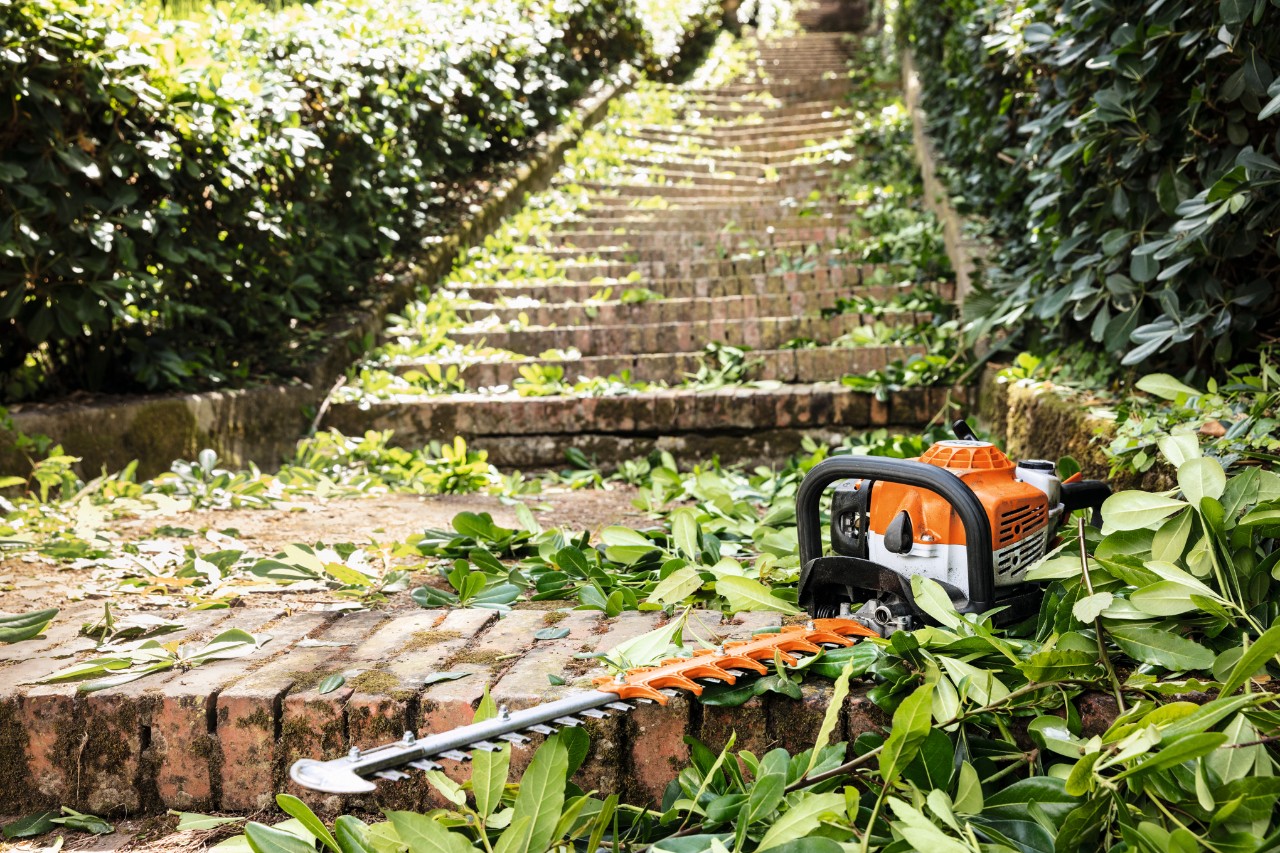 Uma tesoura podadora de sebes a gasolina STIHL HS 82 T entre folhas verdes numa escada antes da manutenção