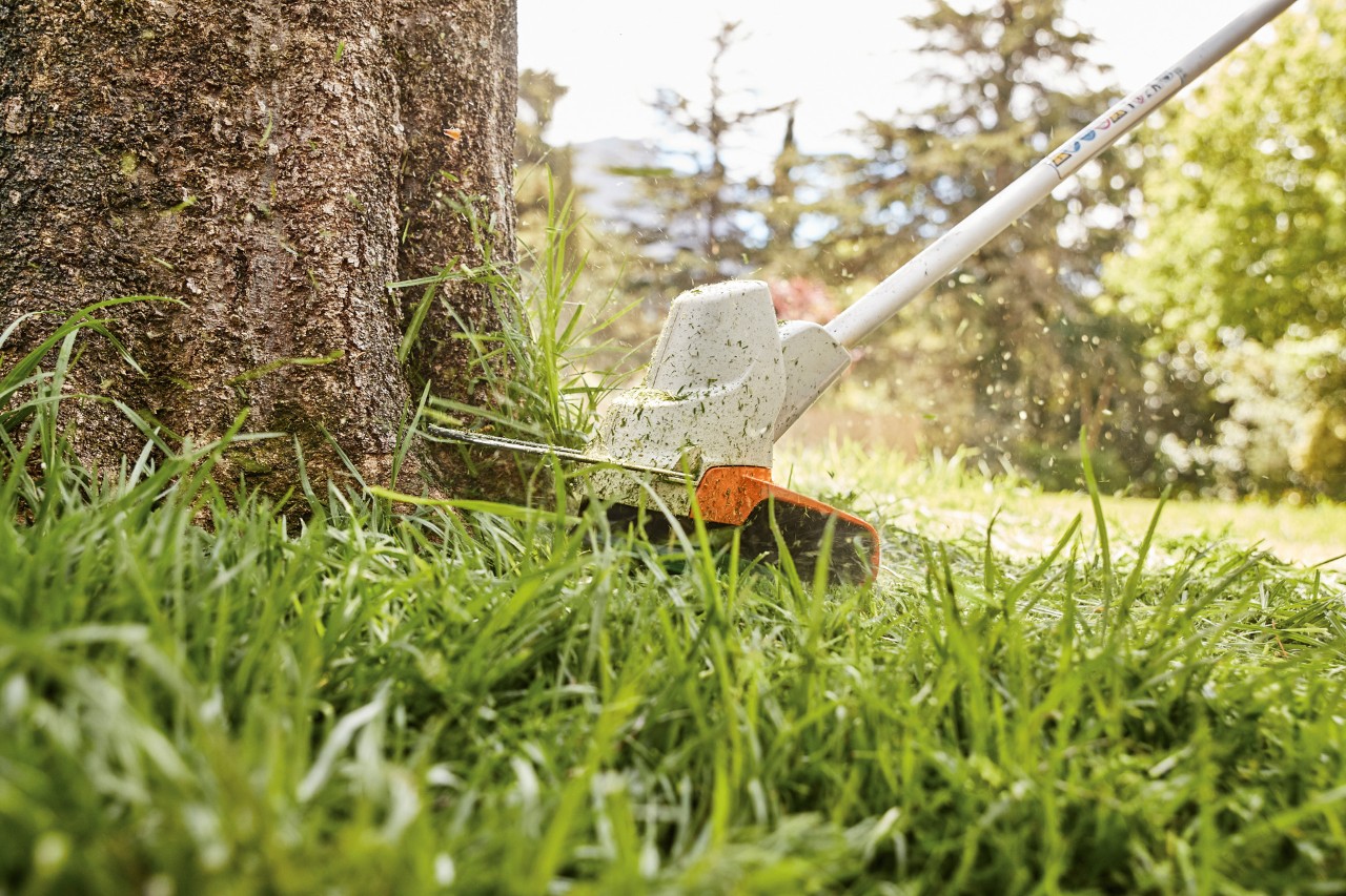  Cortar as bordas do relvado à volta de uma árvore com a foice a motor com bateria STIHL FS 57